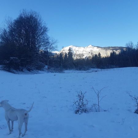 Appartement En Station De Ski A 700 M Des Telecabines Et 100 M Du Centre-Village レ・キャローズ・ダラッシュ エクステリア 写真