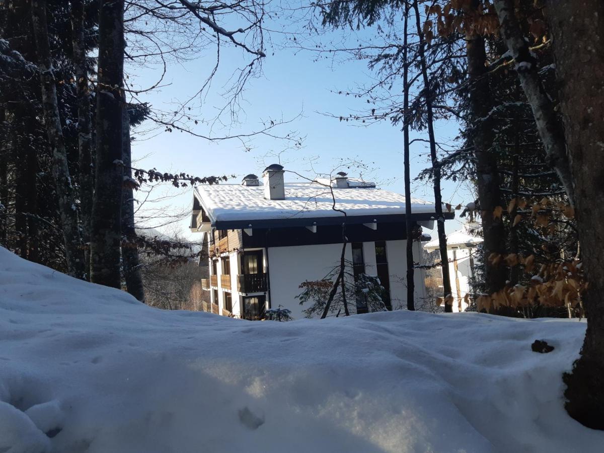 Appartement En Station De Ski A 700 M Des Telecabines Et 100 M Du Centre-Village レ・キャローズ・ダラッシュ エクステリア 写真